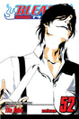 Bleach Volume 52