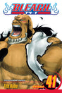 Bleach Volume 41