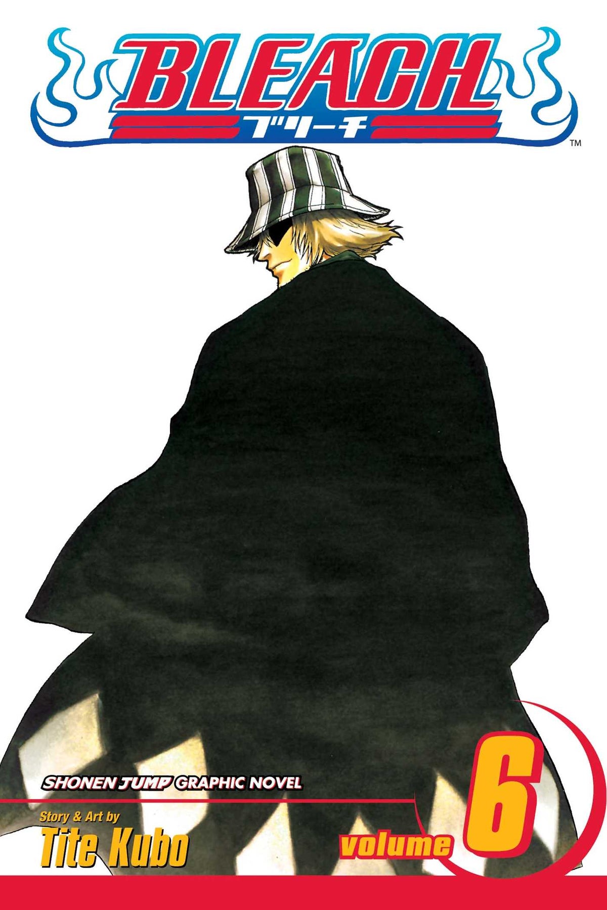 Bleach Volume 6