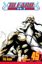 Bleach Volume 45