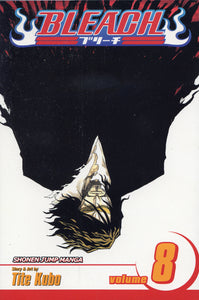 Bleach Volume 8