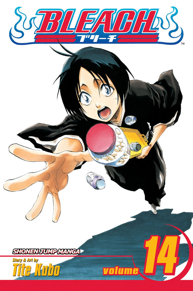 Bleach Volume 14