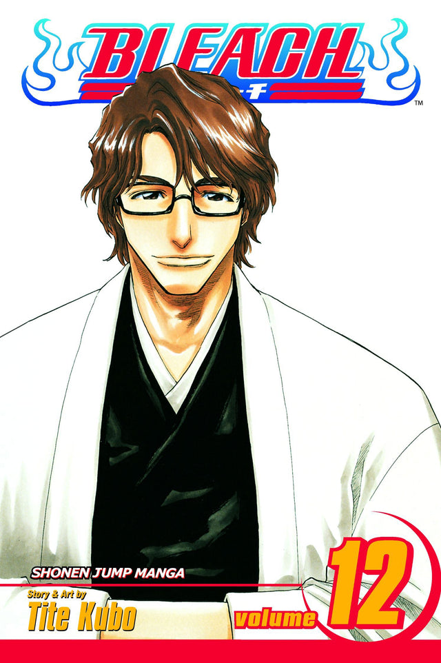 Bleach Volume 12