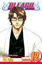 Bleach Volume 12