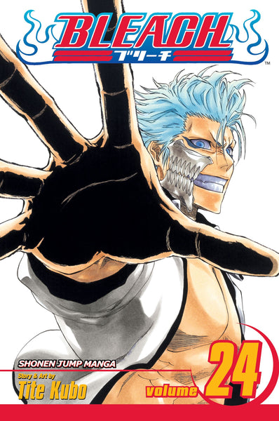 BLEACH Manga Volume 11