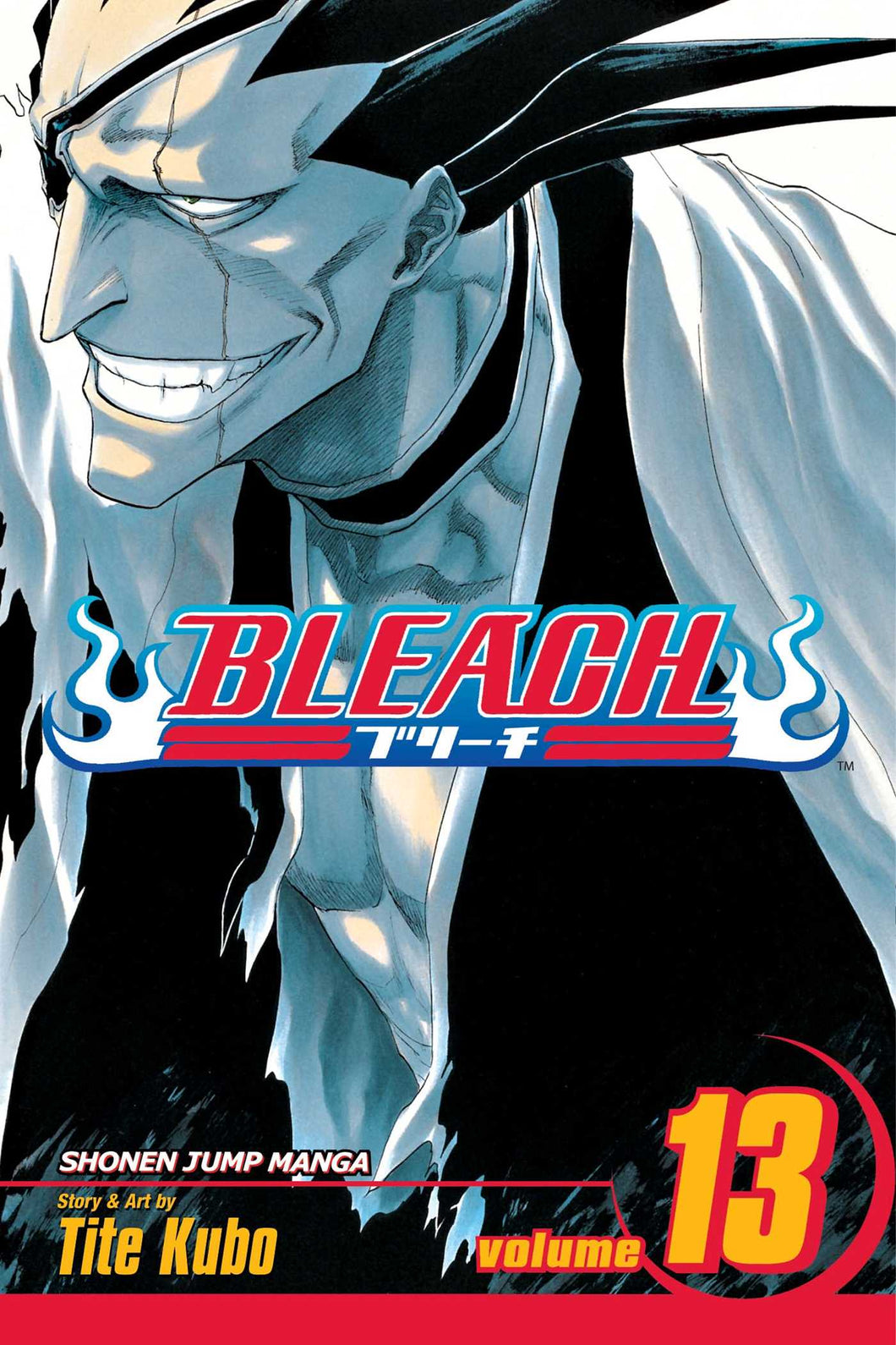 Bleach Volume 13