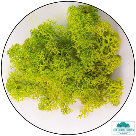 Lichen Reindeer Moss Apple Green
