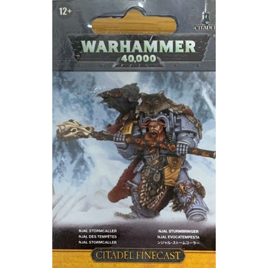 Space Wolves Njal Stormcaller In Terminator Armour