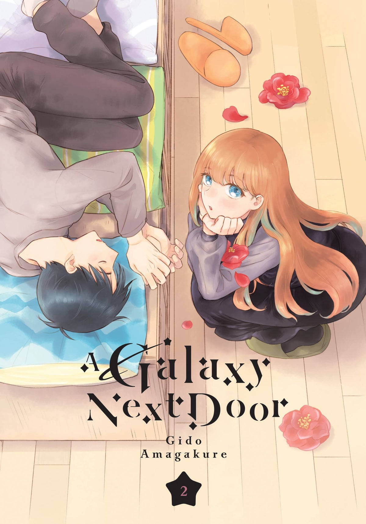 A Galaxy Next Door Door Volume 2