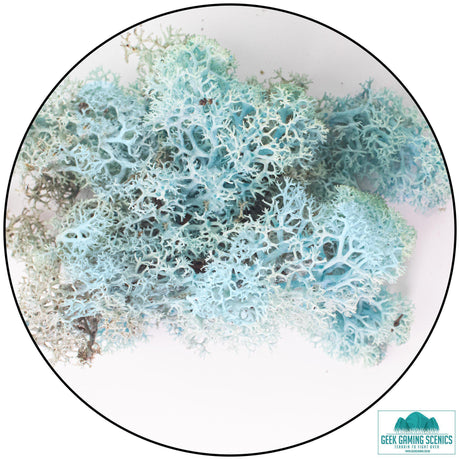 Lichen Reindeer Moss Aquamarine