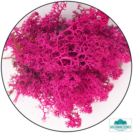Lichen Reindeer Moss Cherry Blossom