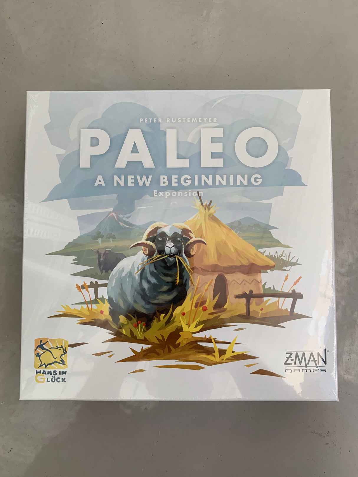 Paleo A New Beginning