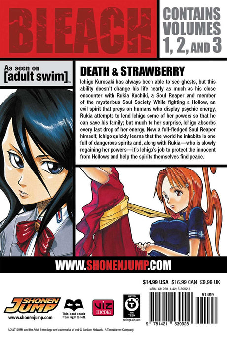 Bleach 3-In-1 Volume 1 (1,2,3)