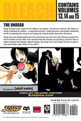 Bleach 3-In-1 Volume 5 (13,14,15)