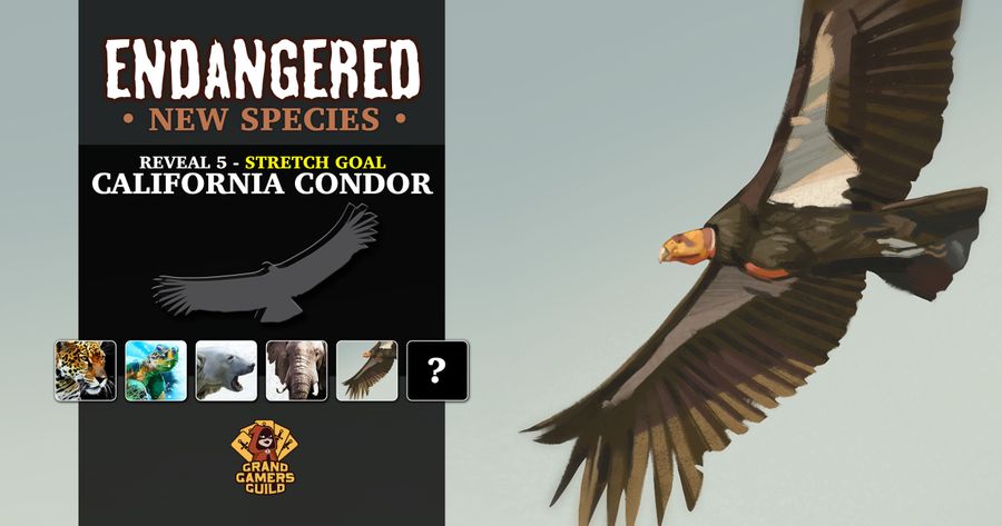 Endangered: New Species