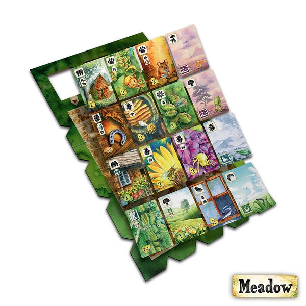 Meadow