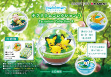 Load image into Gallery viewer, Pokemon Terrarium Collection 9