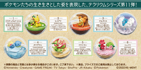 Pokemon Terrarium Collection 11