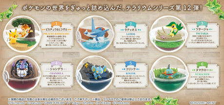 Pokemon Terrarium Collection 12