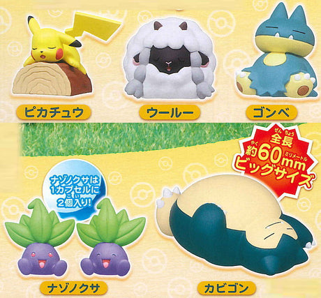 Pokemon Everyone's Snorlax Collection