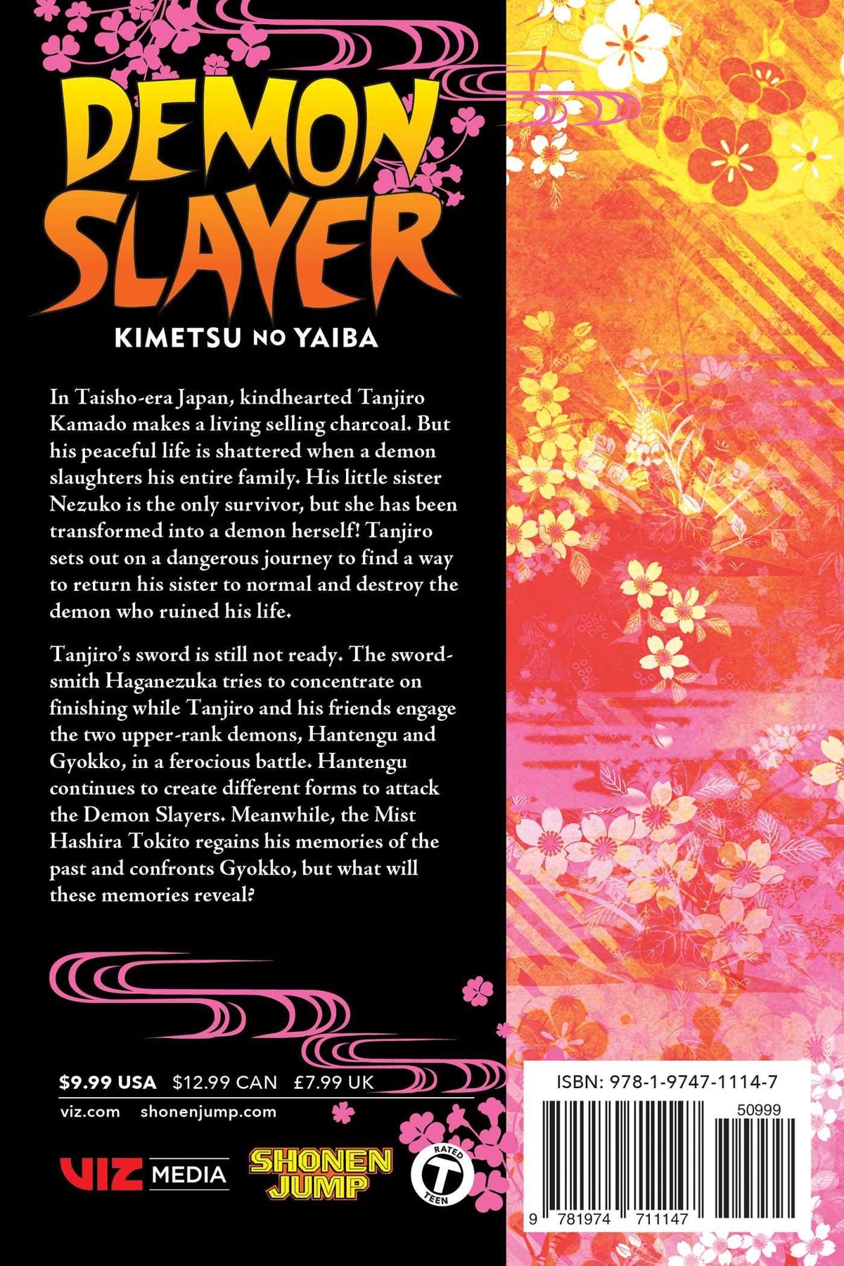 Demon Slayer Kimetsu No Yaiba Volume 14