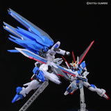 HG Freedom Gundam VS Force Impulse Gundam Metallic Set Model Kit